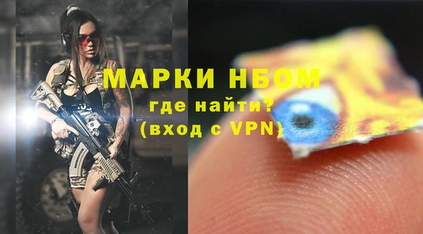 крисы Аркадак