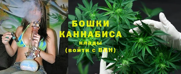 дживик Арсеньев