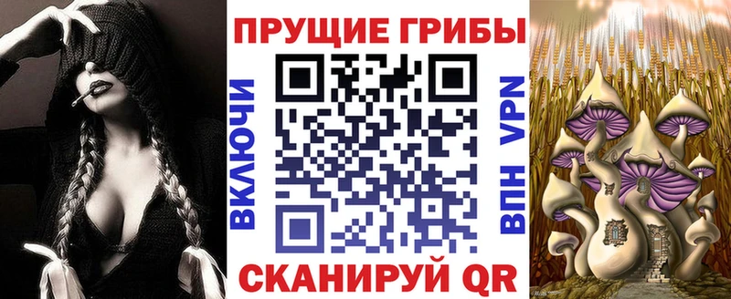 наркошоп  Бабушкин  это официальный сайт  Псилоцибиновые грибы Cubensis 